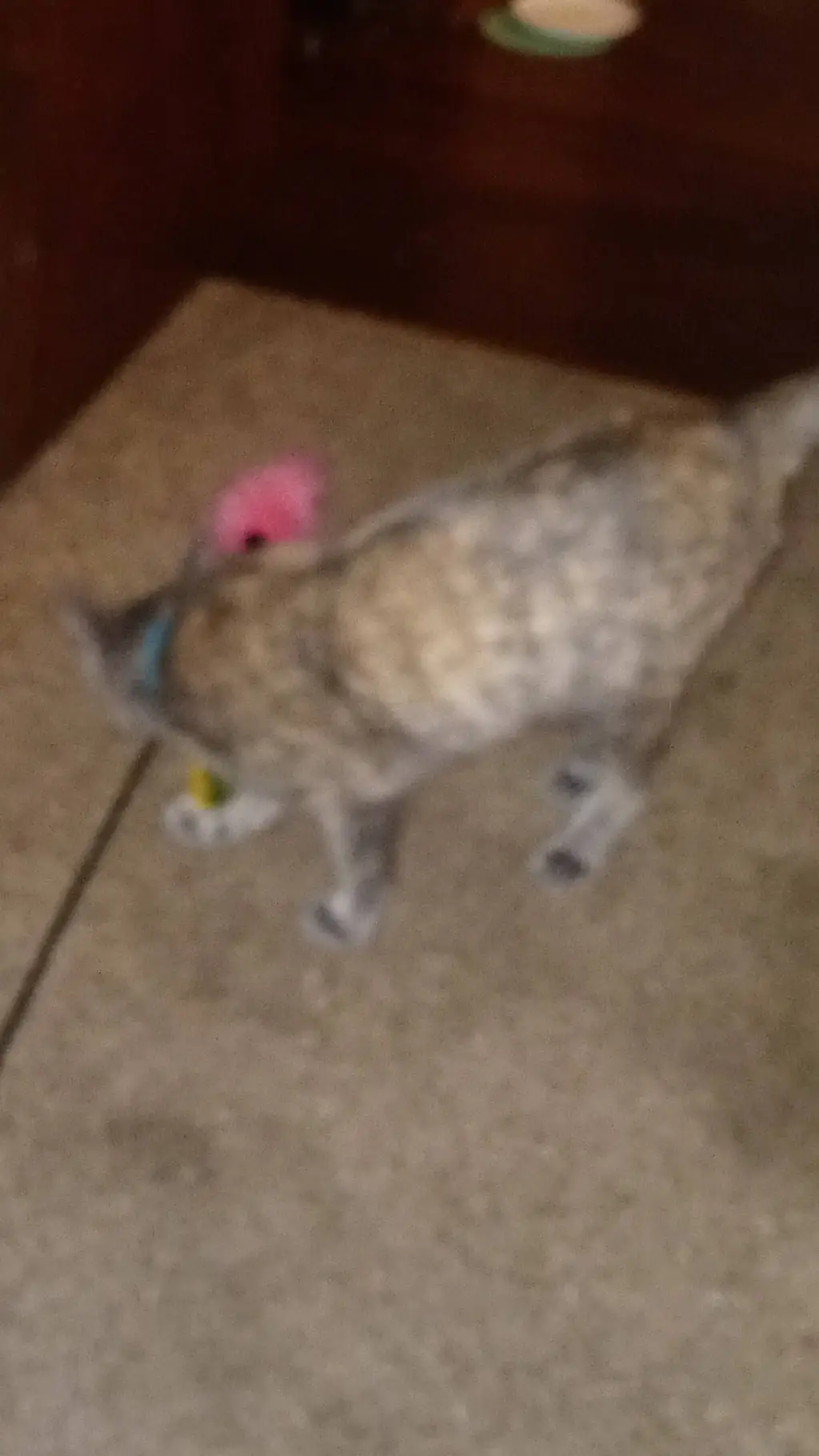 ai character: me background