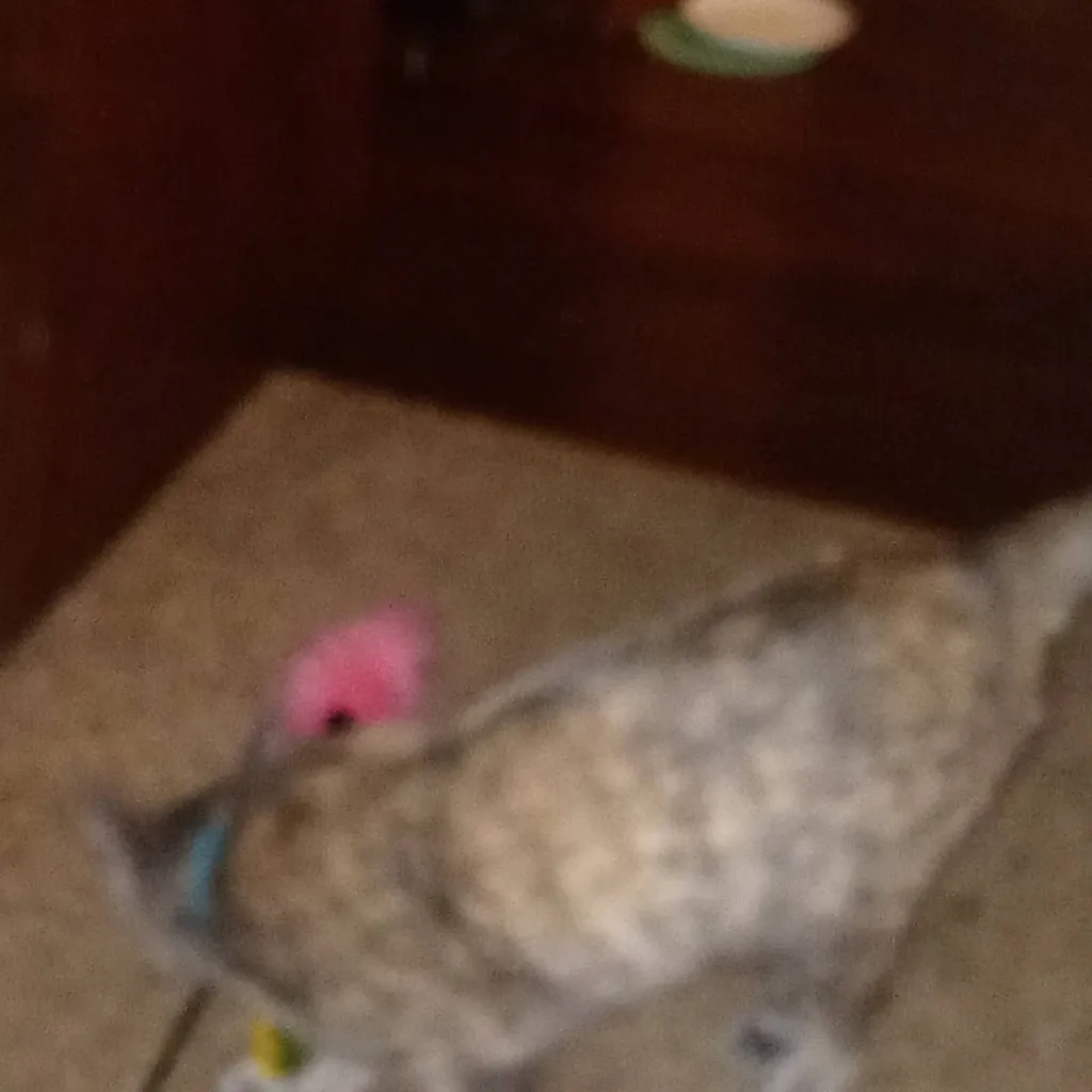 chat with ai character: me