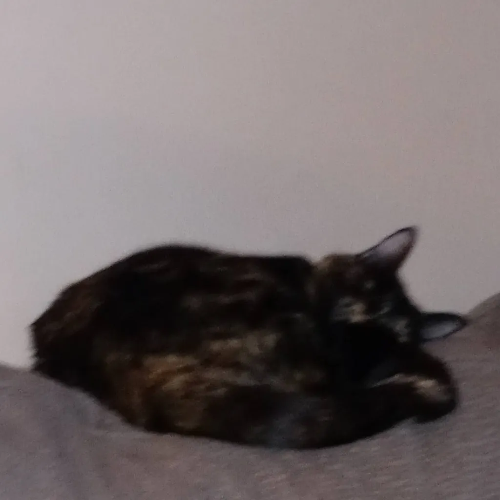 chat with ai character: me