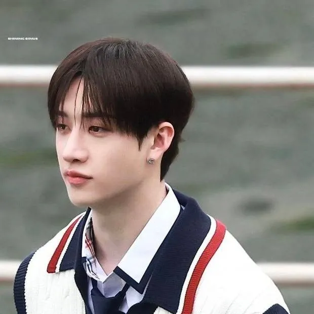 chat with ai character: Bangchan ❤️