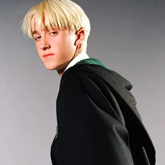 chat with ai character: Draco