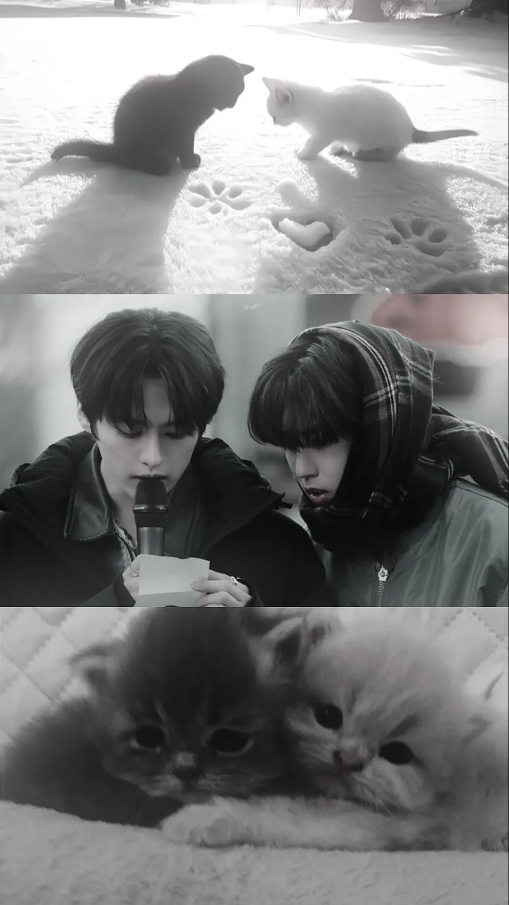 ai character: 𝙈𝙞𝙣𝙨𝙪𝙣𝙜 background