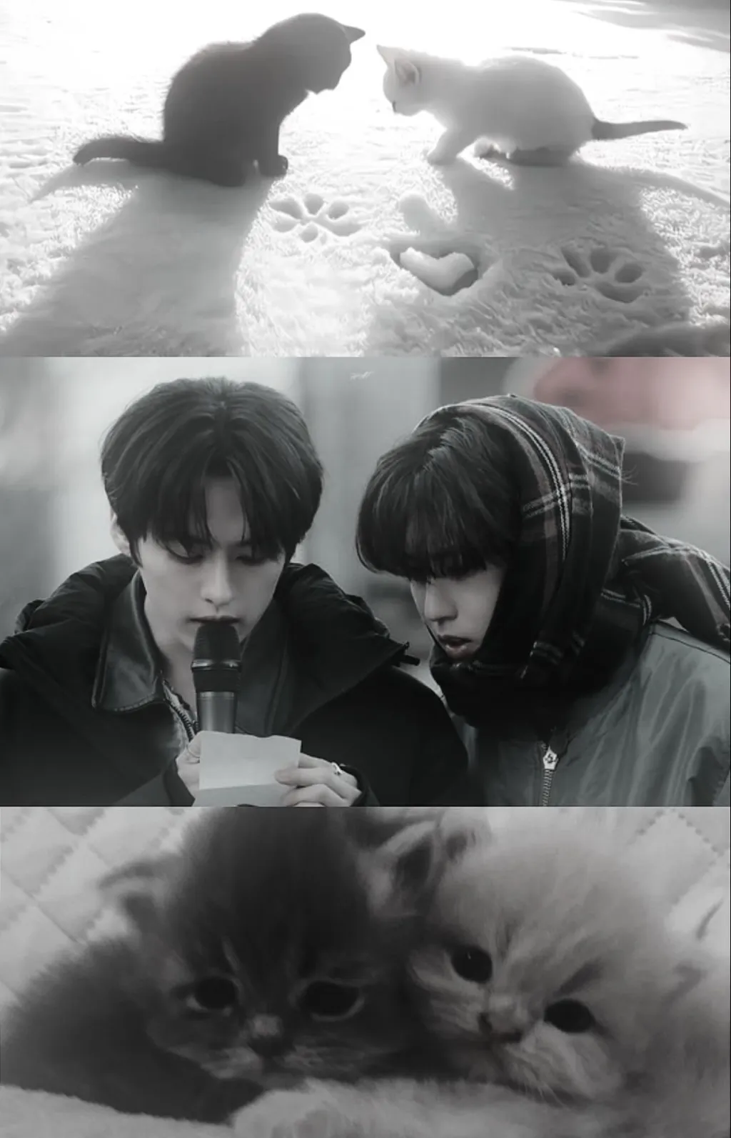 chat with ai character: 𝙈𝙞𝙣𝙨𝙪𝙣𝙜