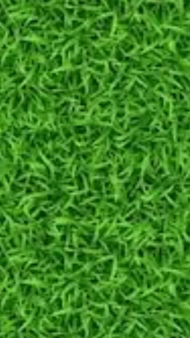 chat with ai character: Forsaken 