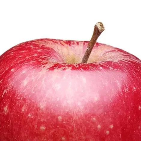 chat with ai character: APPLE:D