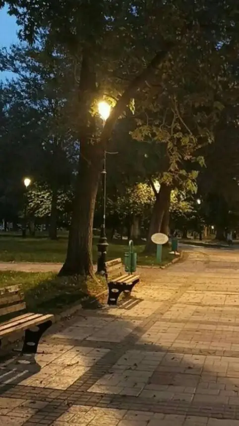 ai character: ans the question background