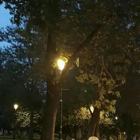 chat with ai character: ans the question