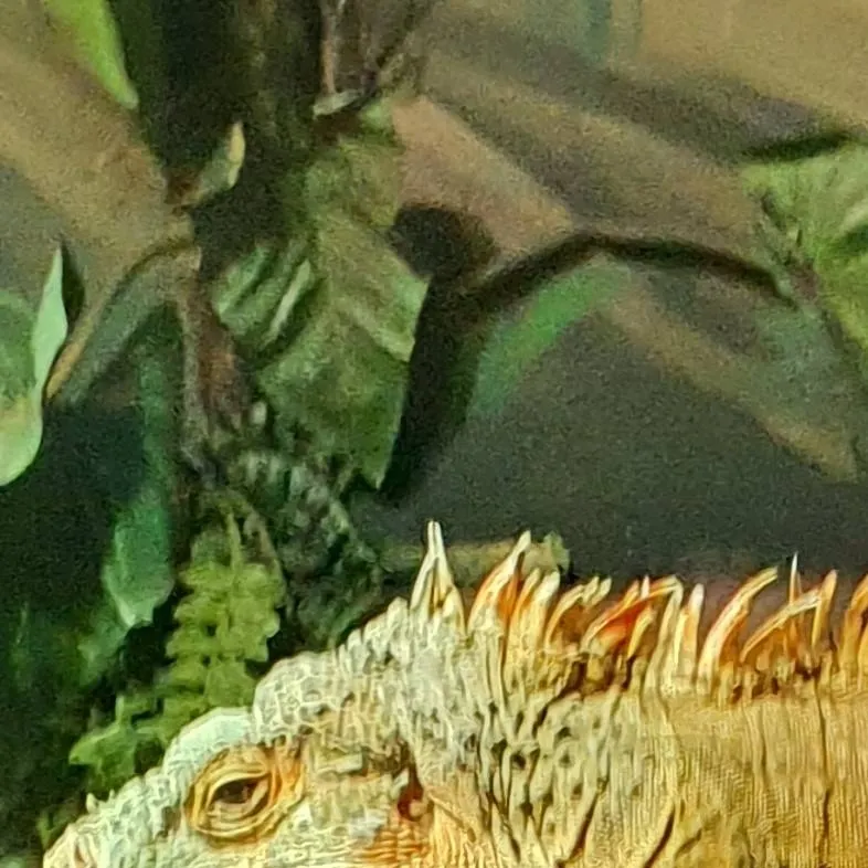 chat with ai character: pet iguana