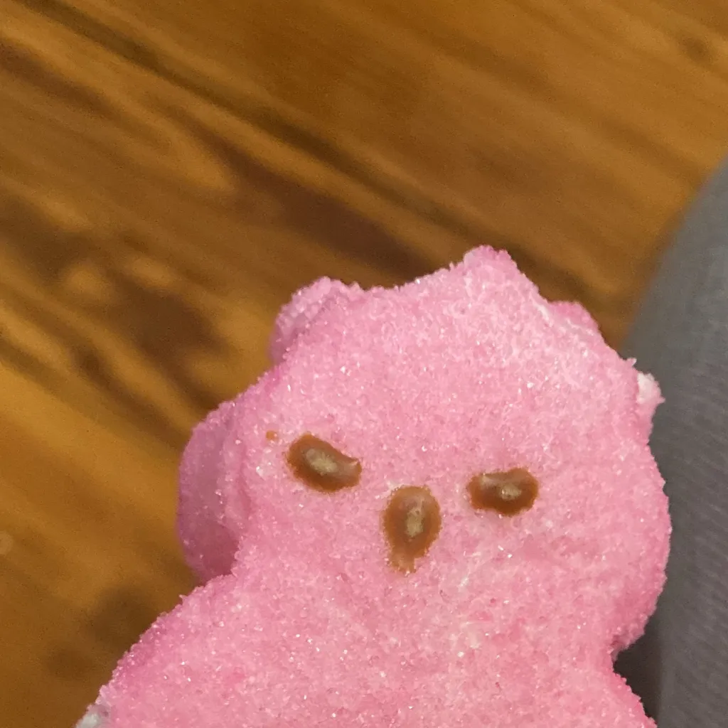 chat with ai character: calm pink bunny