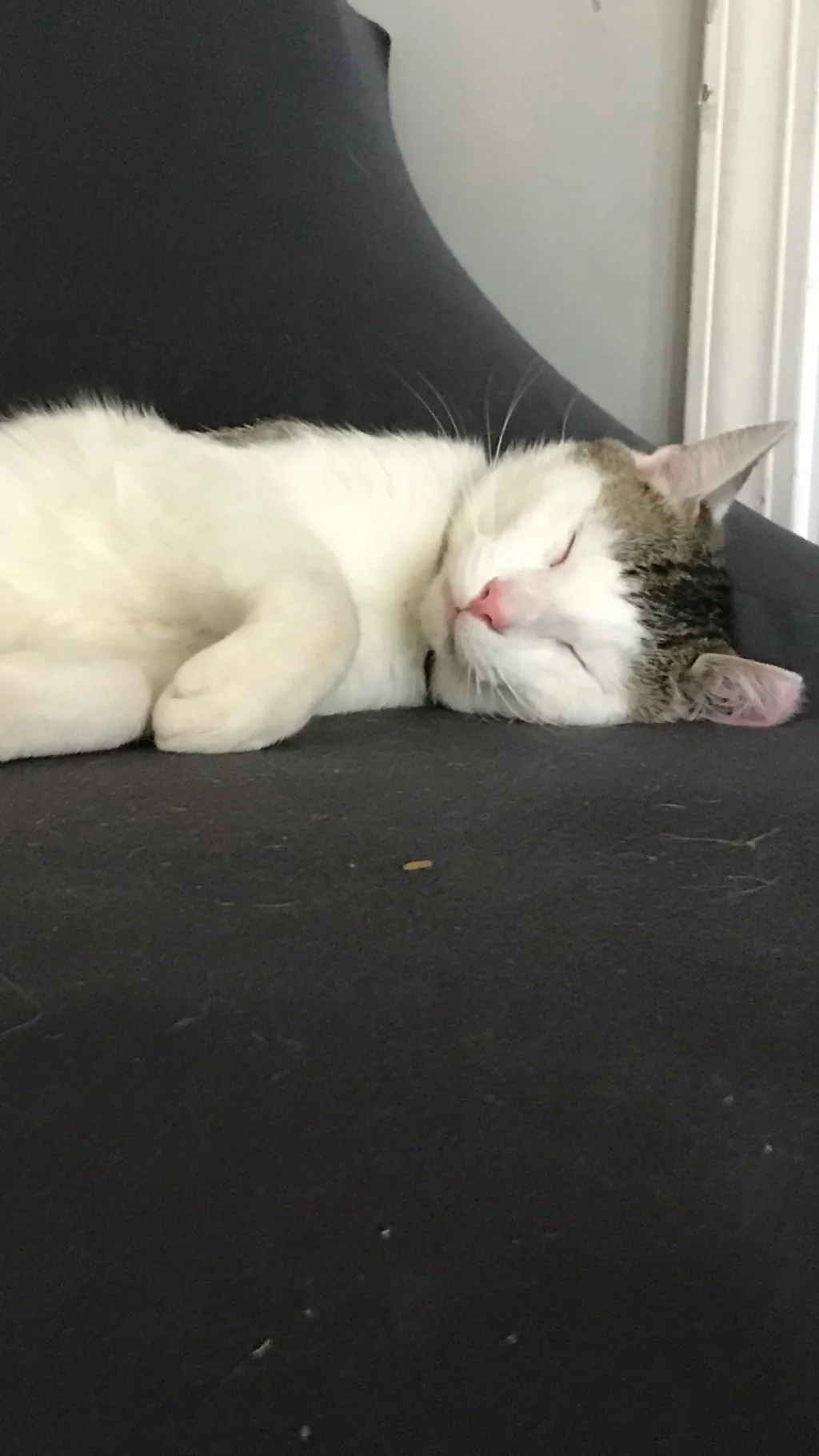 ai character: H p pick me background