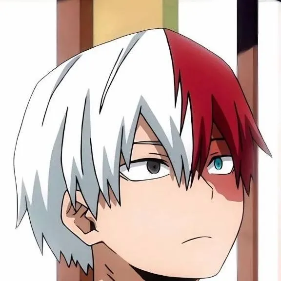chat with ai character: ~~~Todoroki~~~