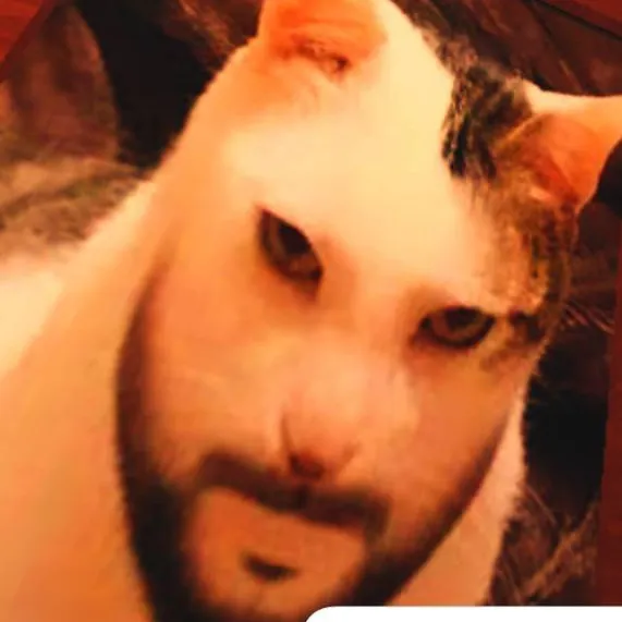 chat with ai character: im so Sigma 
