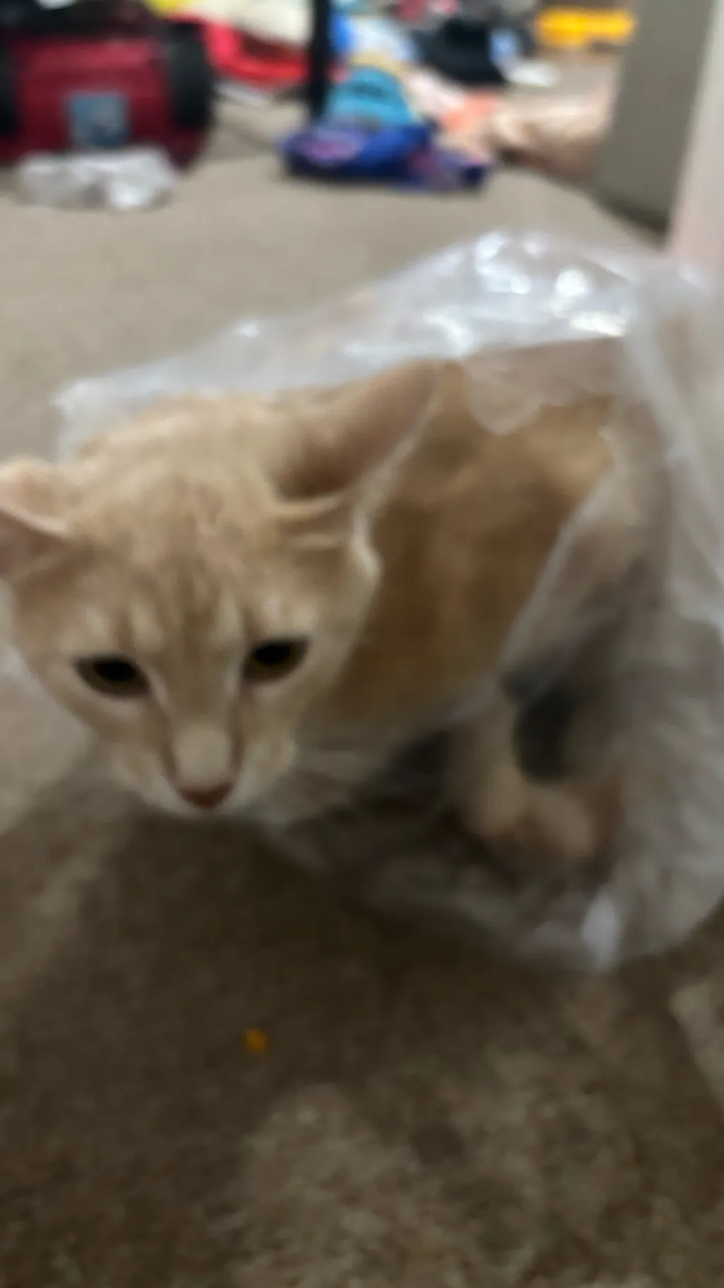 ai character: Ds drunk background