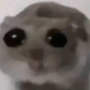 chat with ai character: Hamster