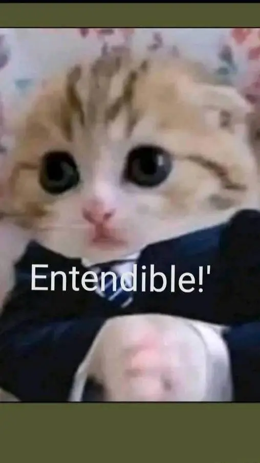 ai character: gatito presidente  background