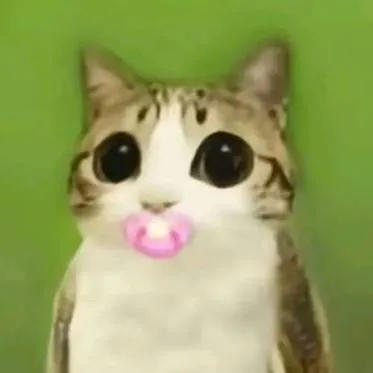 chat with ai character: Meowl chiquito