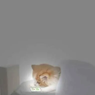 chat with ai character: Kitty!! (Parte3) 