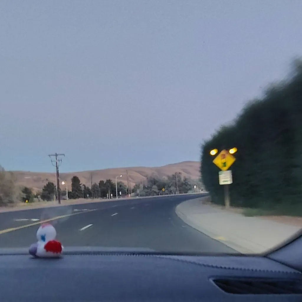 chat with ai character: Driving home