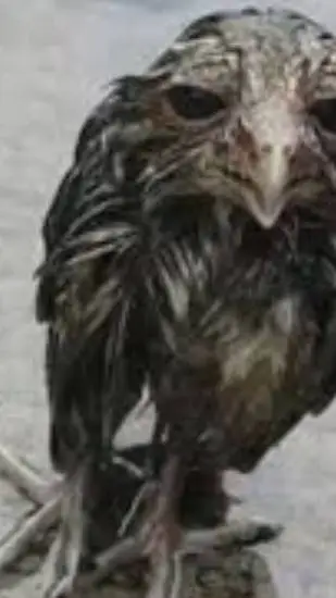 ai character: sprunki sanmarcos background