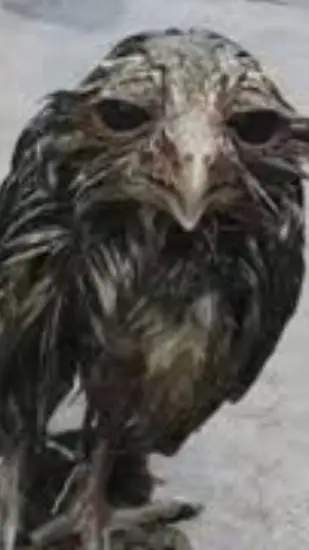 ai character: sanmarcos, sprunki background