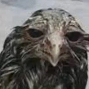 chat with ai character: sanmarcos, sprunki