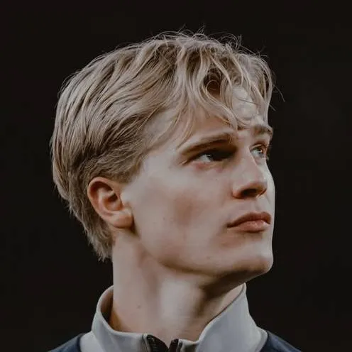 chat with ai character: Lucas Bergvall