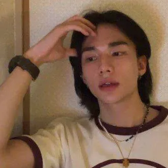 chat with ai character: нуυηʝιη