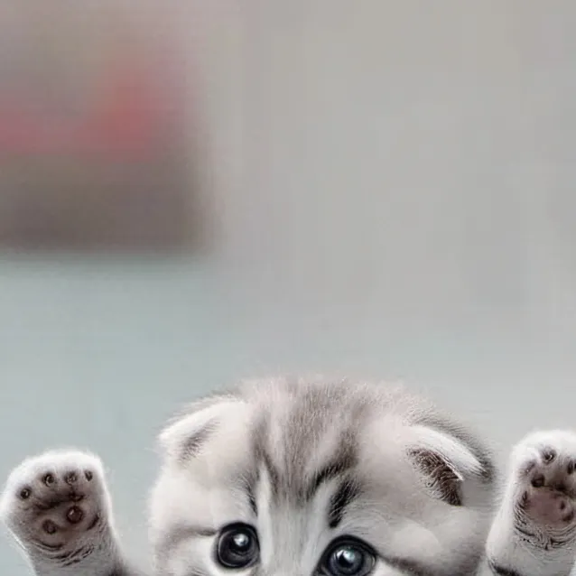 chat with ai character: gatito