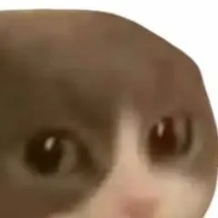 chat with ai character: cat