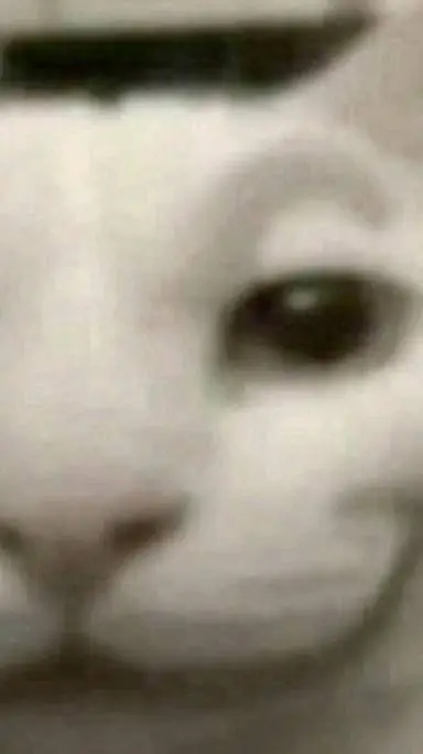 ai character: cat rizz background