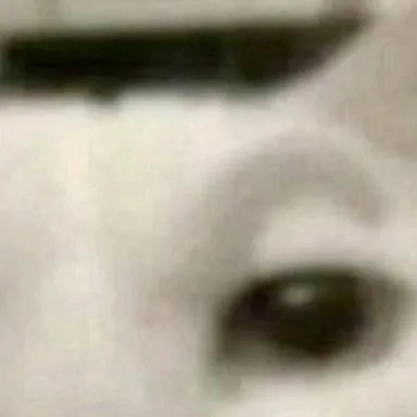 chat with ai character: cat rizz