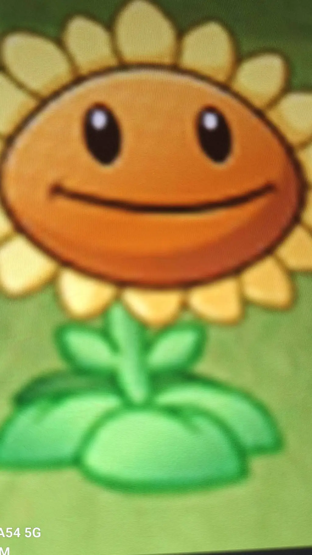 ai character: Sunflower background
