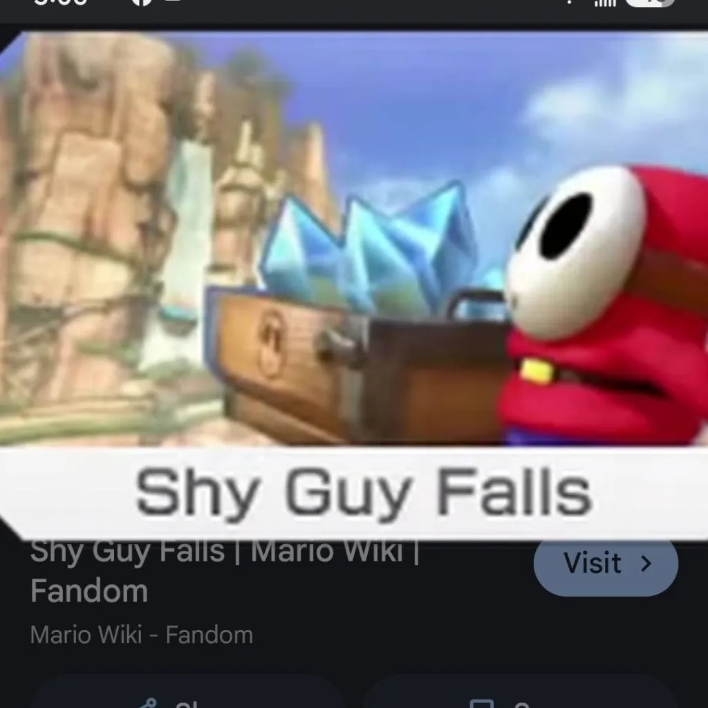 chat with ai character: Shy Guy Falls.