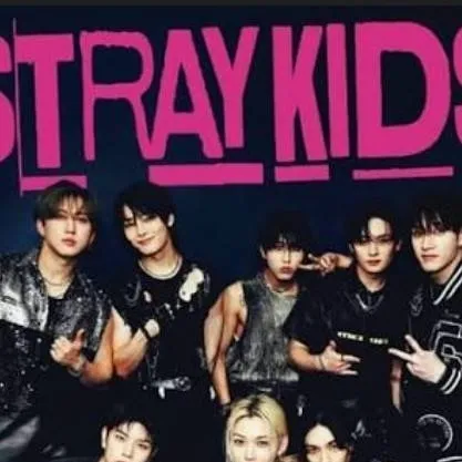 chat with ai character: Skz sleepover