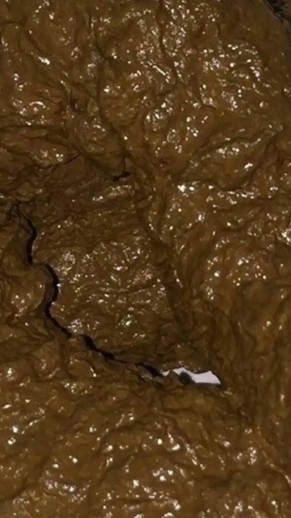 ai character: p00p background