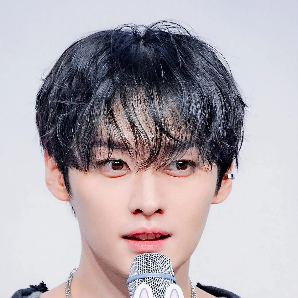 chat with ai character: Minho (Minsung)