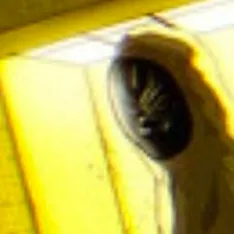 chat with ai character: Backrooms RP