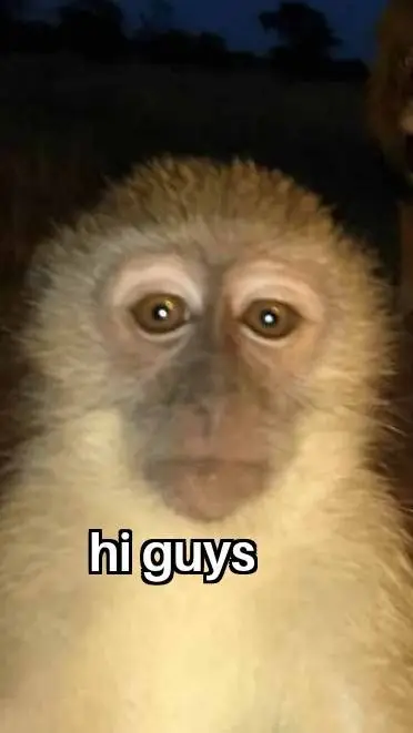 ai character: my pet monkey  background