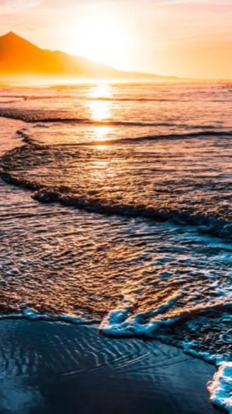 ai character: Love Bites  background