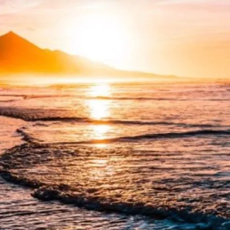 chat with ai character: Love Bites 