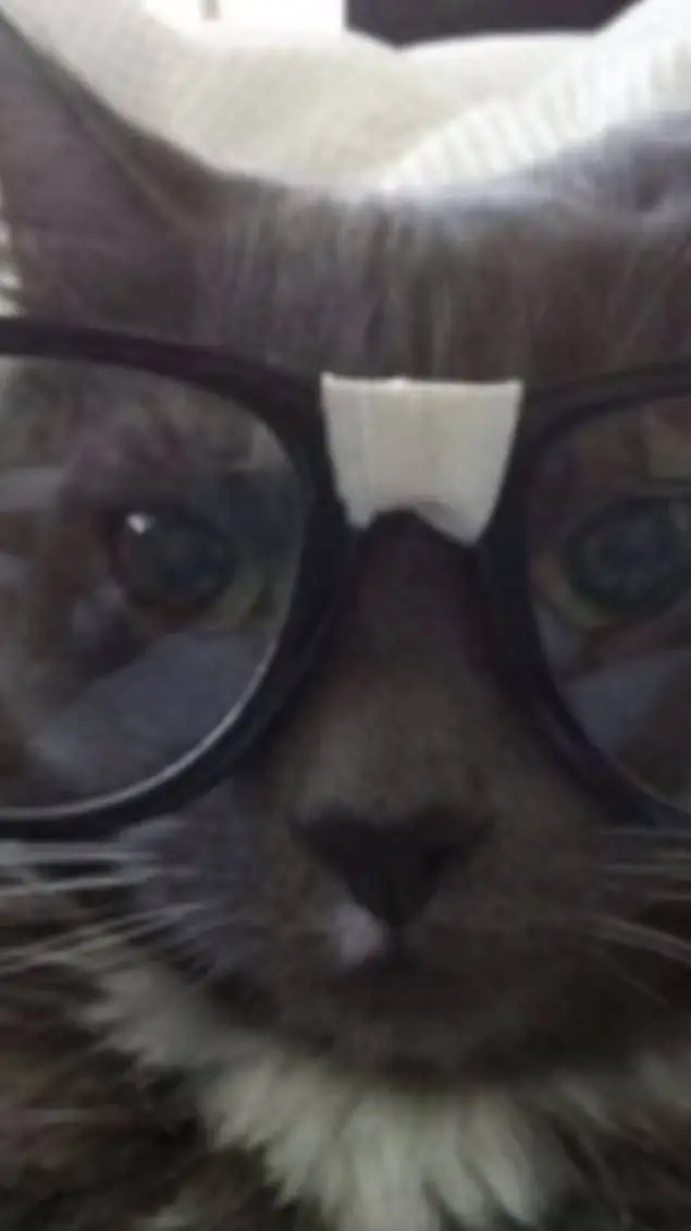 ai character: Gia background