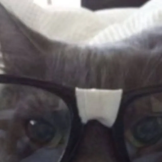 chat with ai character: Gia