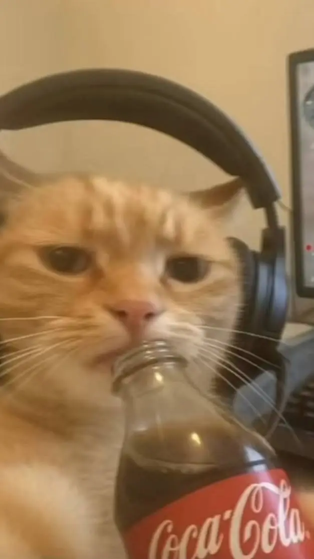 ai character: Rose background