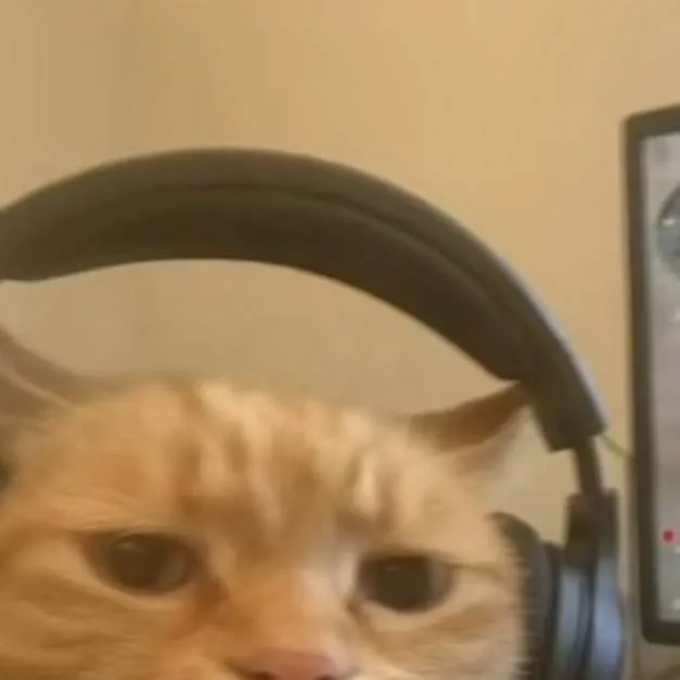 chat with ai character: Rose