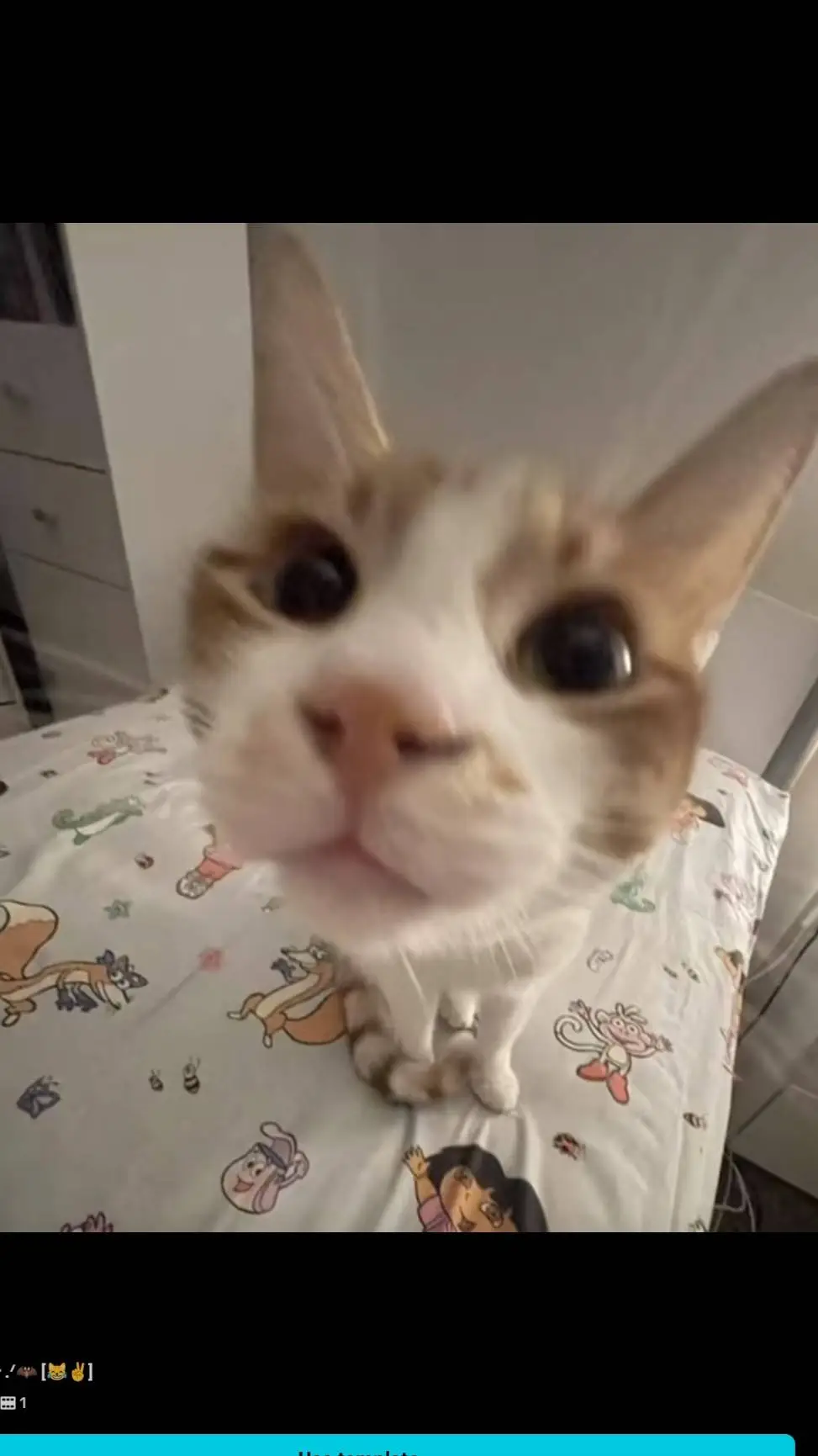 ai character: halo background