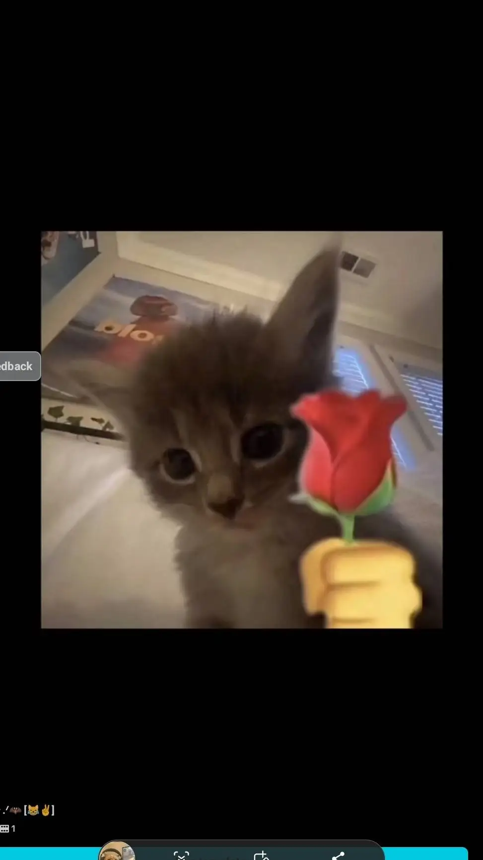 ai character: halo,aaliyah,issy background