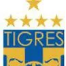 chat with ai character: Tigres UANL