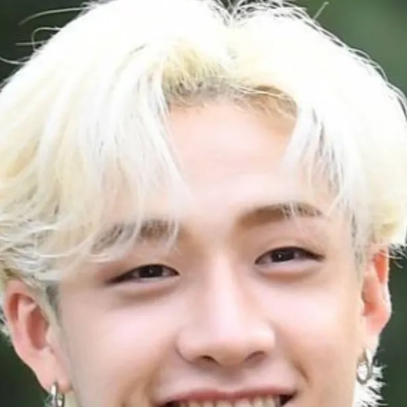 chat with ai character: Bang Chan Husband😆