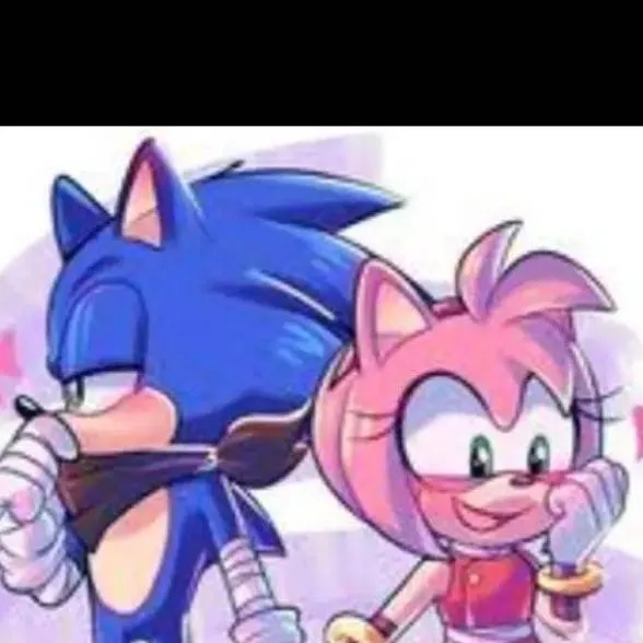 chat with ai character: Sonamy boom 