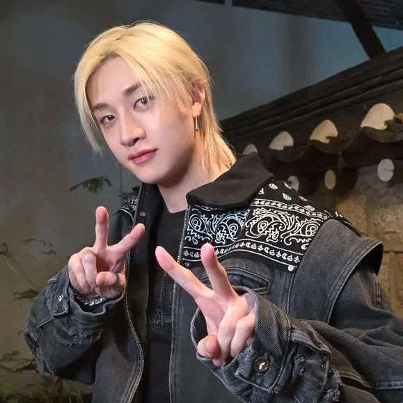 chat with ai character: 🌹Bangchan🌹